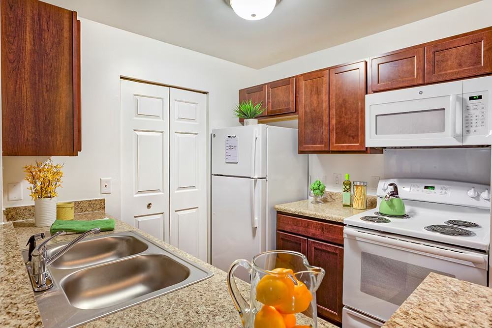 Chase Run - Photo 7 of 13