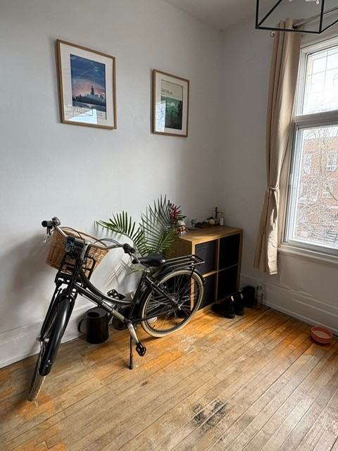 7767 Rue Saint-Denis - Photo 3 of 15