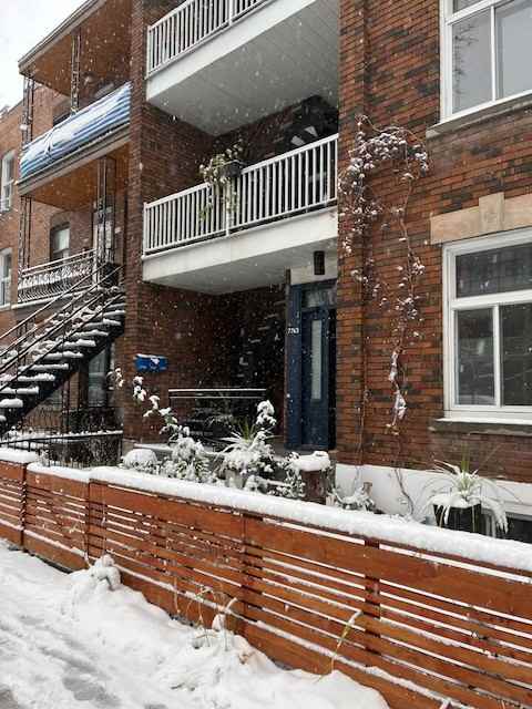 7763 Rue Saint-Denis - Photo 2 of 34