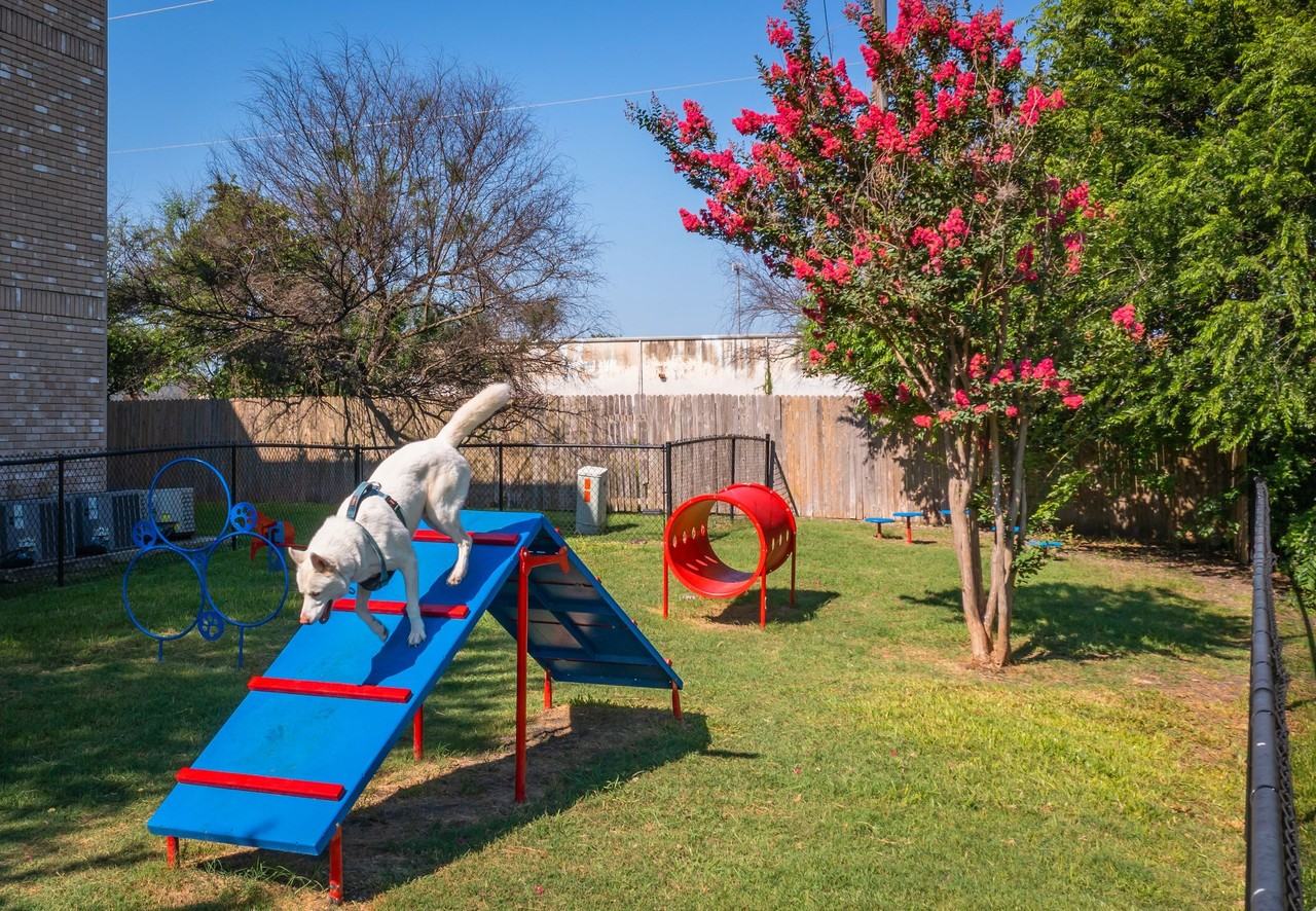 Avalon Apartments - Photo 4 of 50