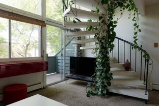 1842 Canyon Blvd - Photo 1 of 1