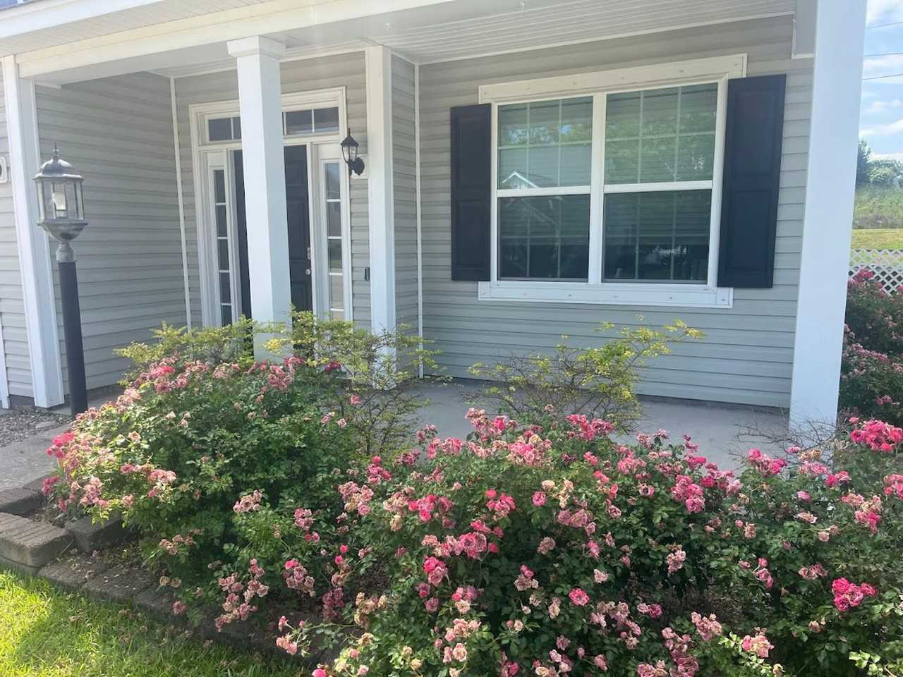 8156 Ronda Dr - Photo 2 of 18