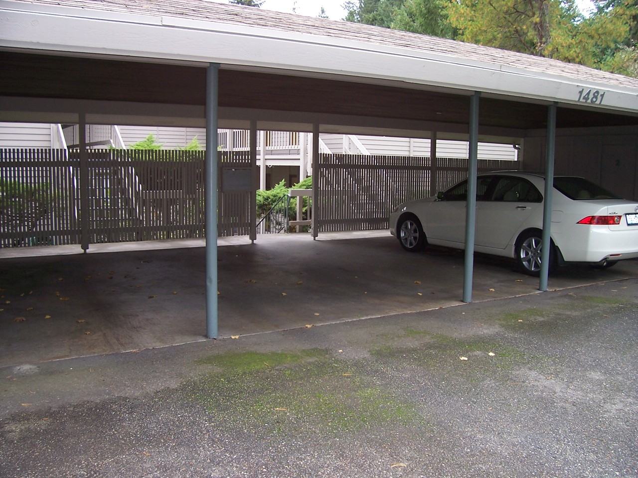 1461 Rainier Ct #2 - Photo 5 of 6