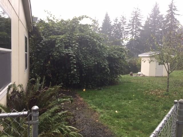 97566 Kadora Ln - Photo 2 of 16