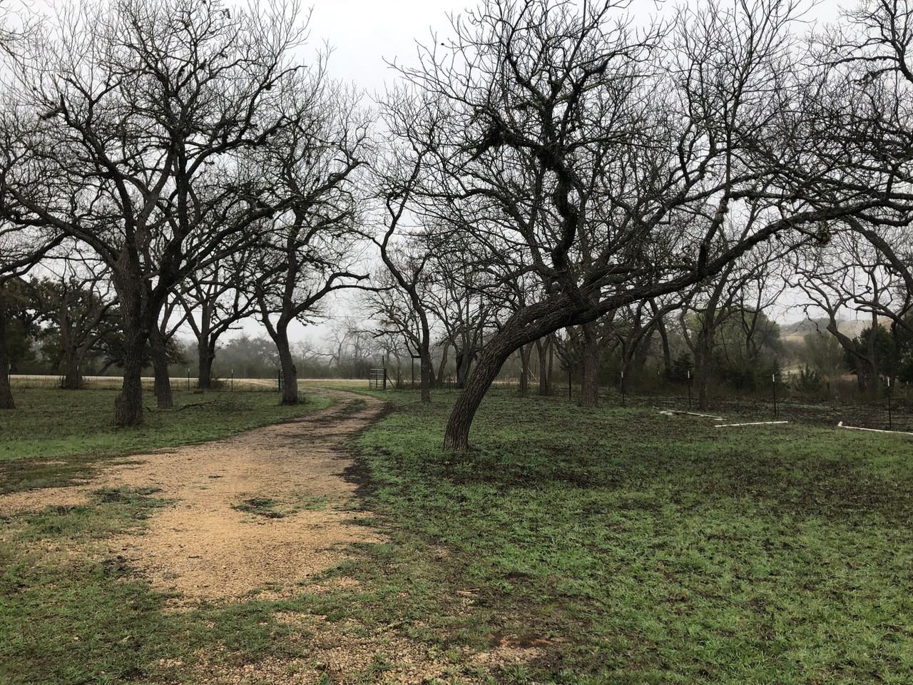 200 Saddleback Ridge Trl - Photo 3 of 9