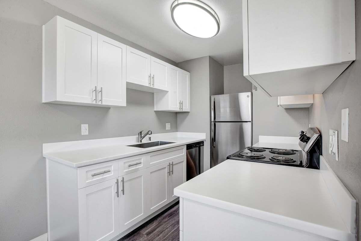 313 Sandy Ln - Photo 6 of 50