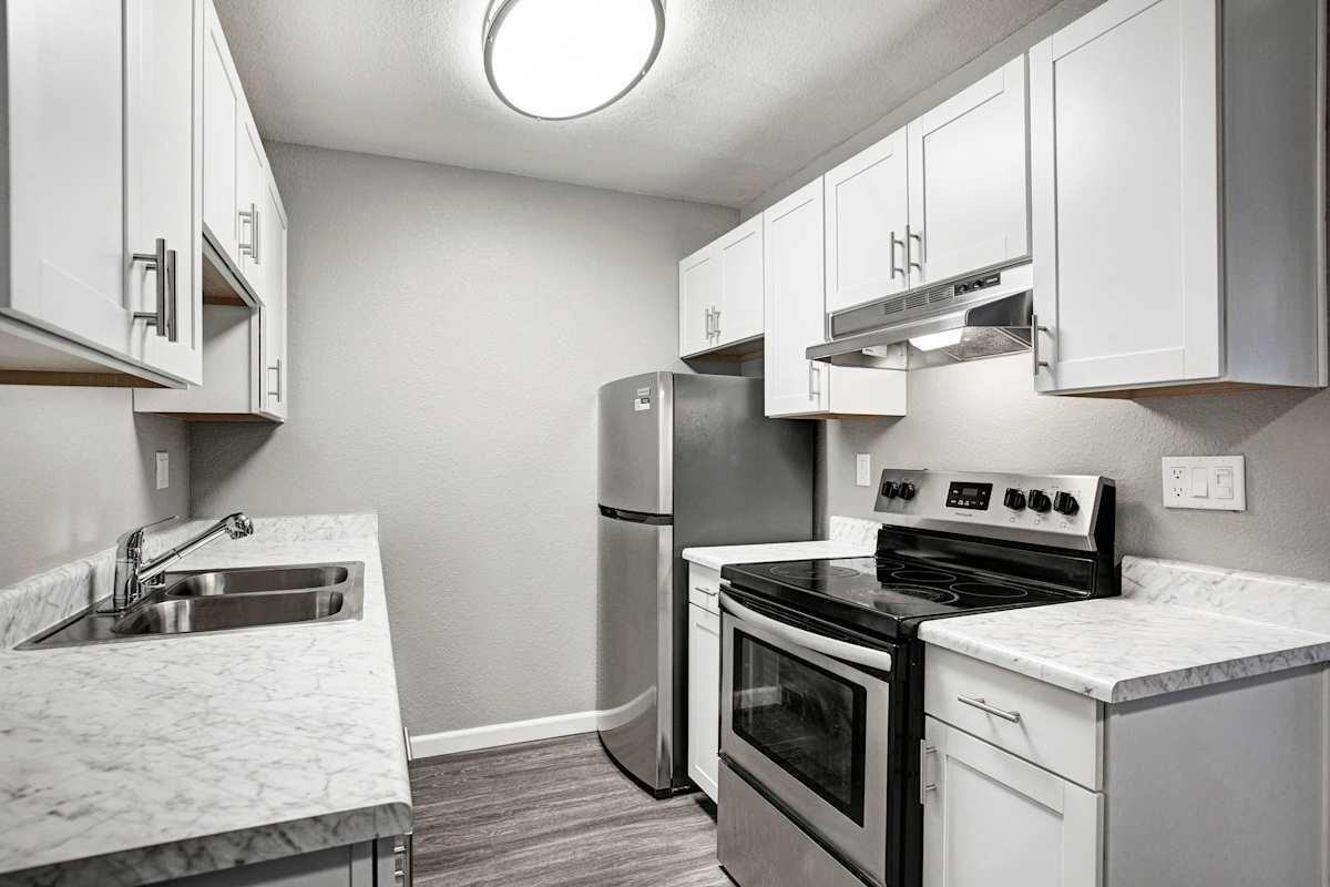 313 Sandy Ln - Photo 5 of 50