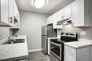 featured image of 313 Sandy Ln