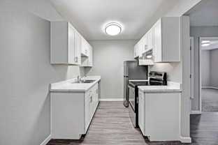 313 Sandy Ln - Photo 1 of 1