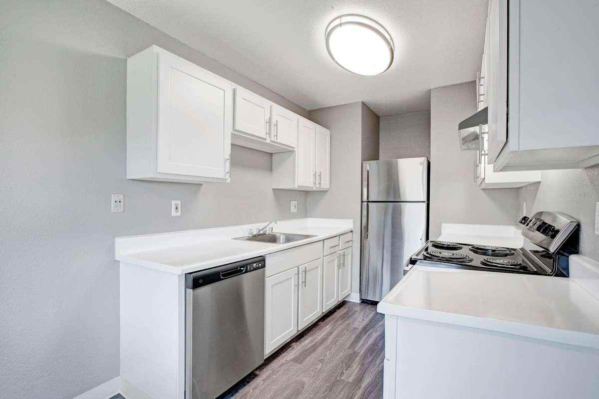 313 Sandy Ln - Photo 2 of 50