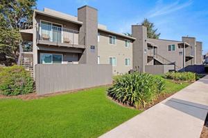 featured image of 313 Sandy Ln