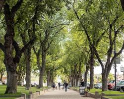 featured image of 1053 Sandretto Drive