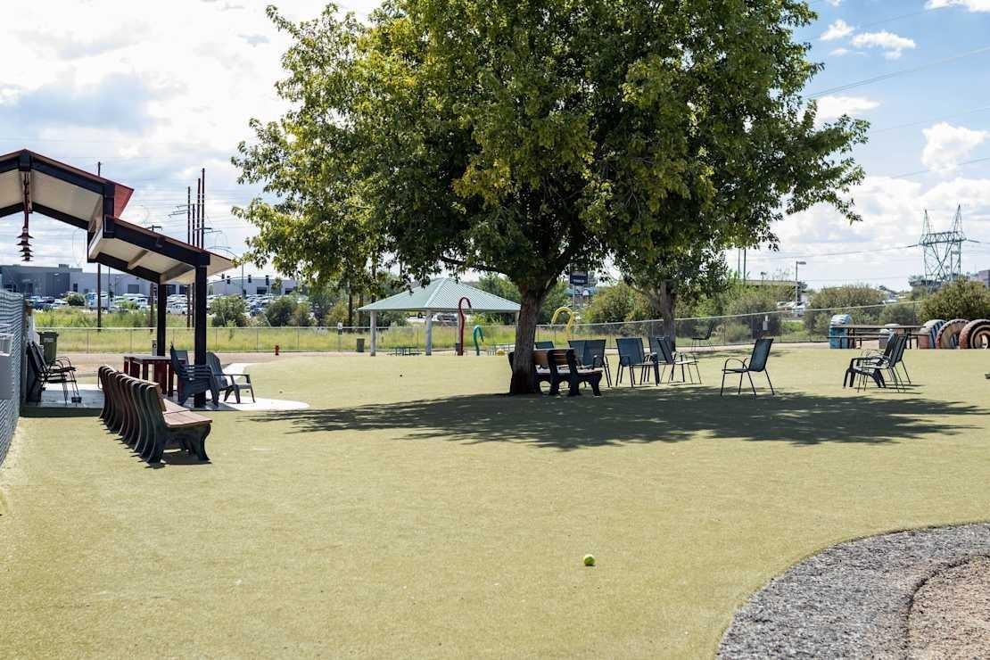 1053 Sandretto Dr - Photo 4 of 22