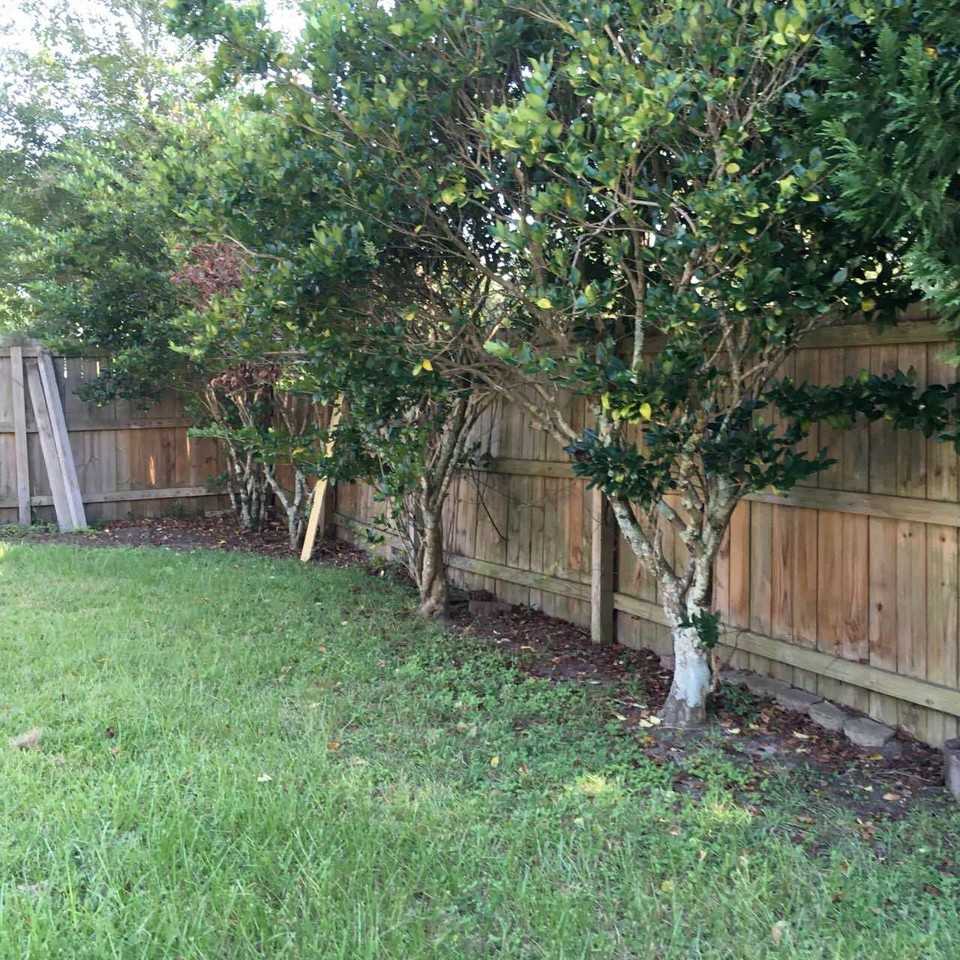 916 Mandarin Dr - Photo 4 of 16