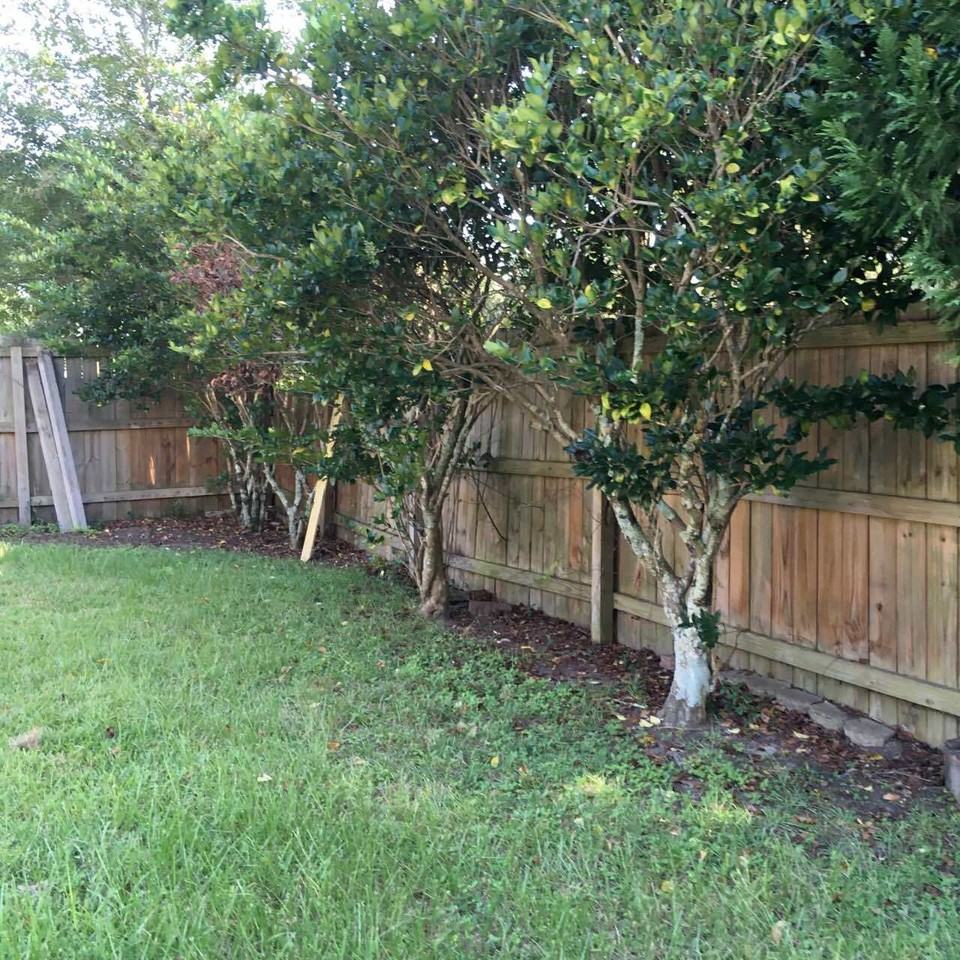 916 Mandarin Dr - Photo 2 of 16