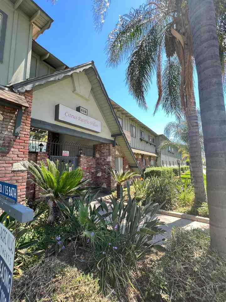 Citrus Pacific - Photo 4 of 6