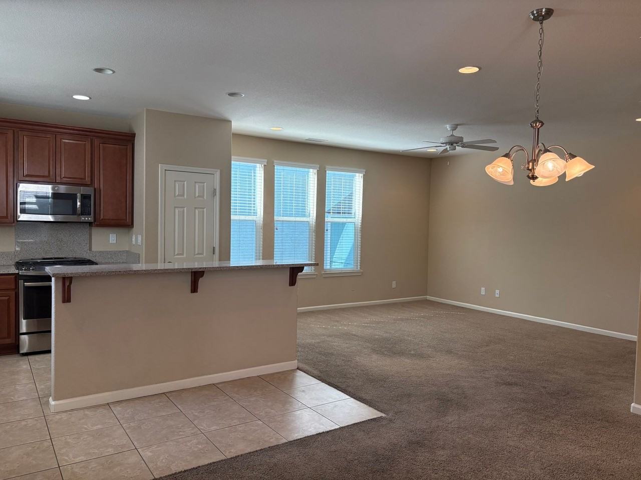 2051 Virginia Lake Way - Photo 3 of 16