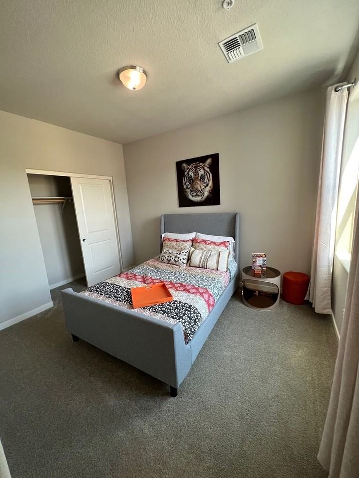4789 Black Falcon Way - Photo 5 of 13