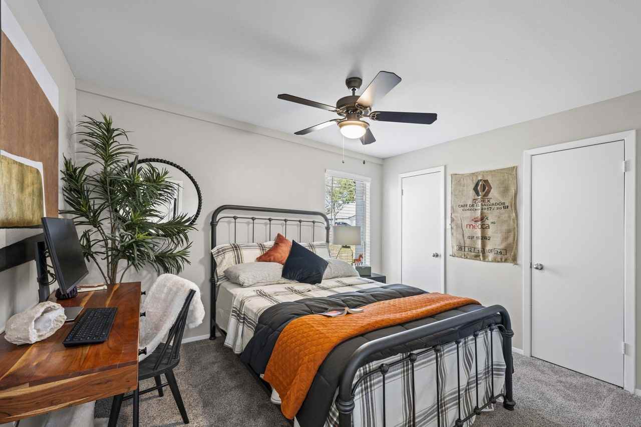 The Halston - Photo 6 of 45