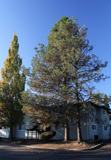 Country Pines - Photo 1 of 1