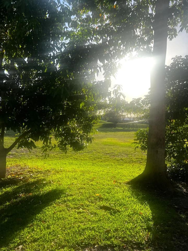 19162 Bobolink Dr #19162 - Photo 2 of 12