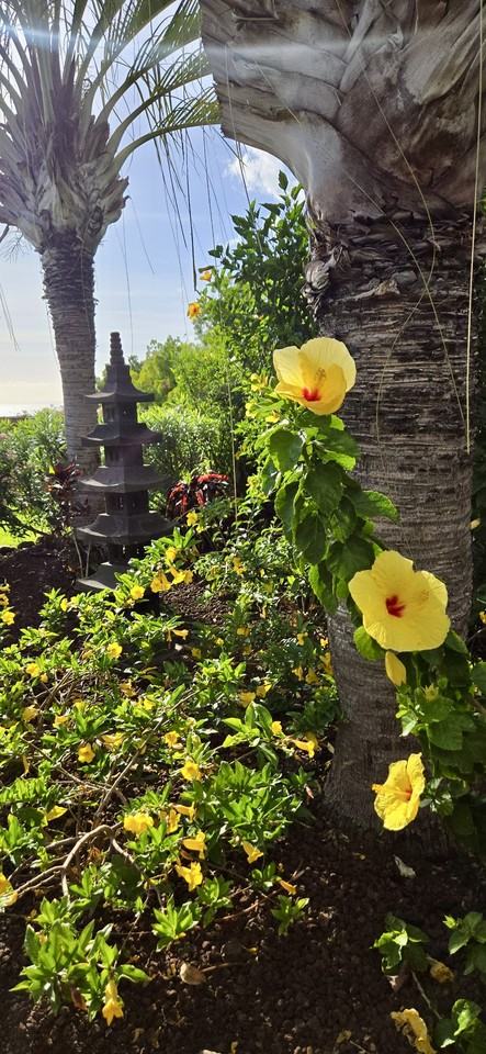 202 Paia Pohaku Pl #NA - Photo 6 of 22