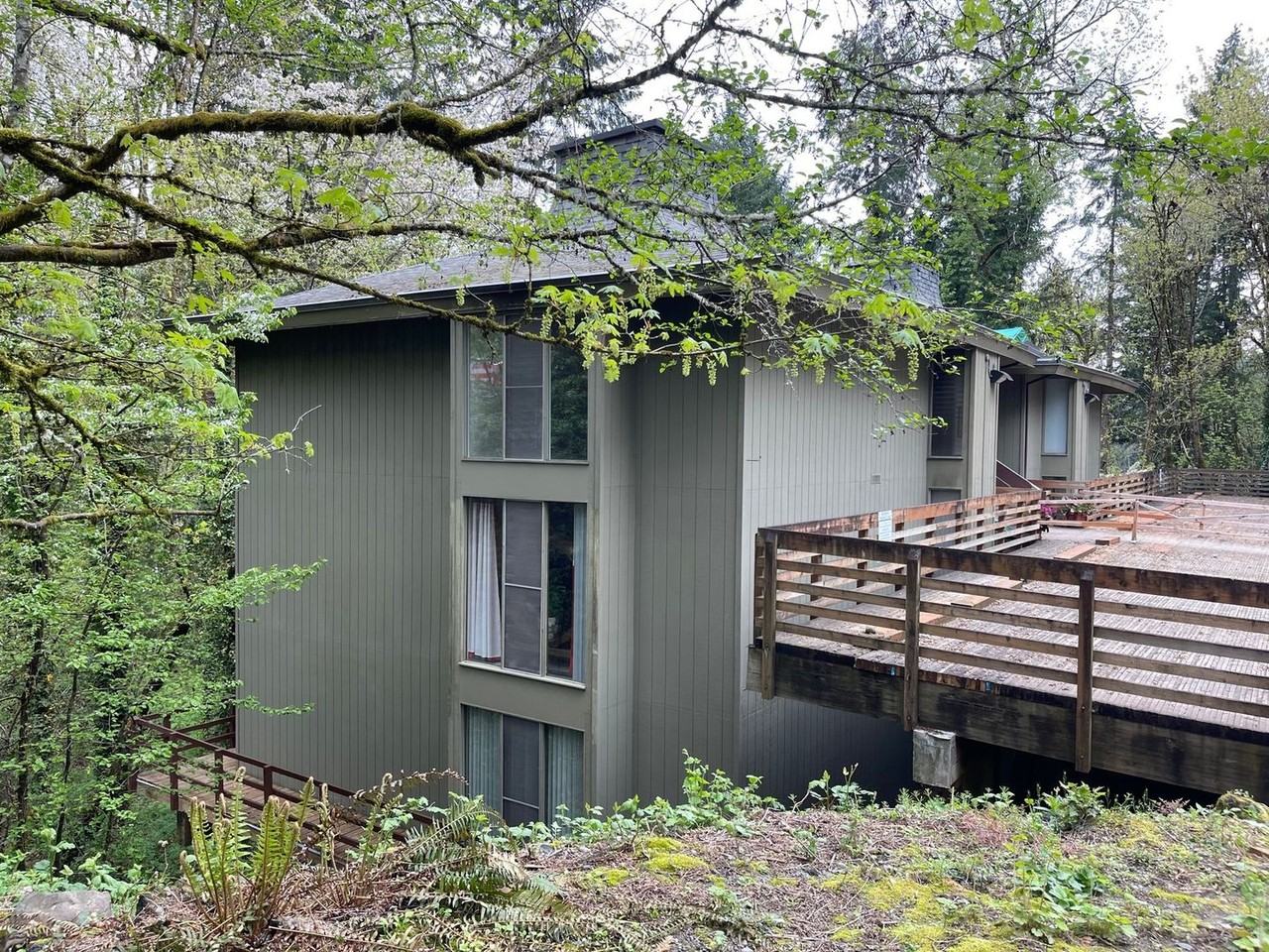 The Tree House - Photo 2 of 17