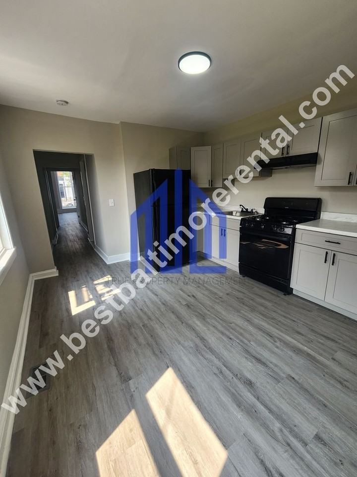1523 W Lexington St - Photo 2 of 14