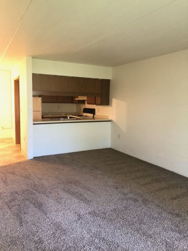 Village Park Apartments-Appleton - Photo 4 of 11