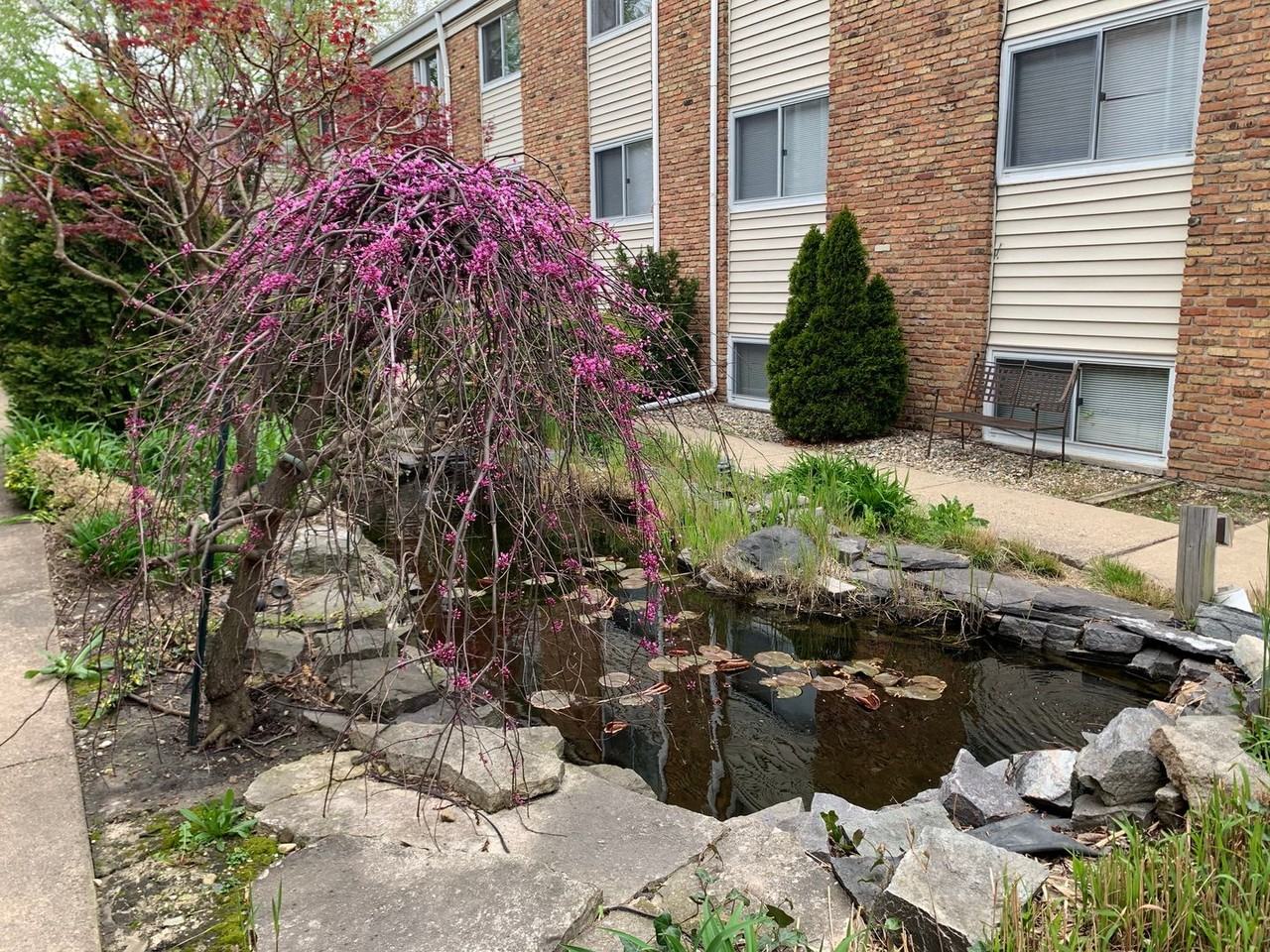 Garden Court - Photo 2 of 22