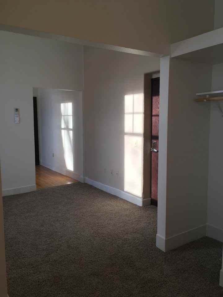 1447 Patterson Loop - Photo 5 of 10