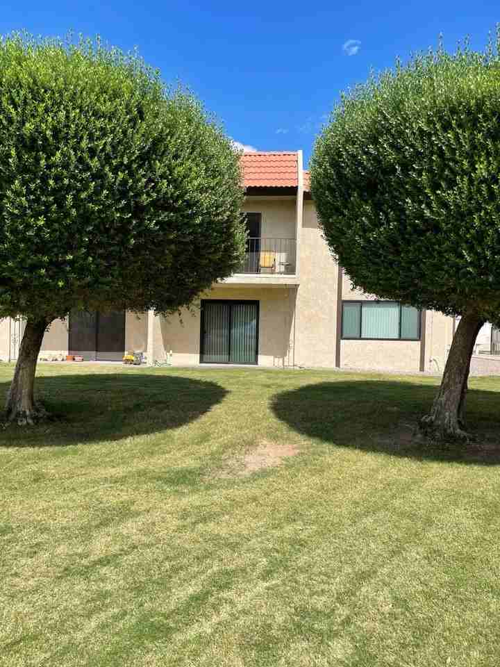 363 Lake Havasu Ave N #A - Photo 4 of 29