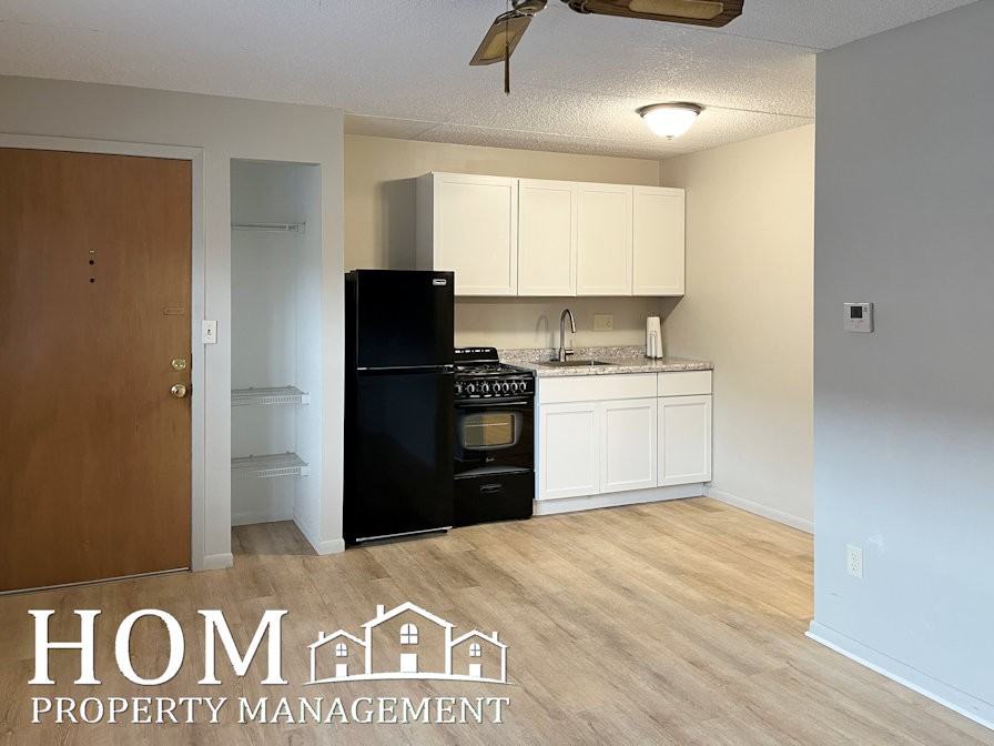 107 E Liberty St #2 - Photo 3 of 9