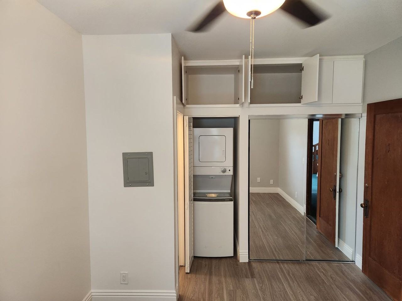 Thorn - Photo 5 of 19