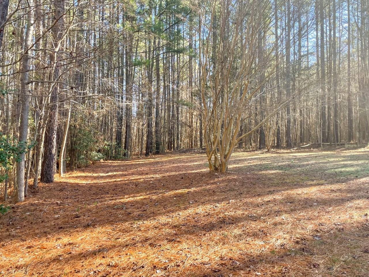 3361 Juanita Ln - Photo 3 of 29