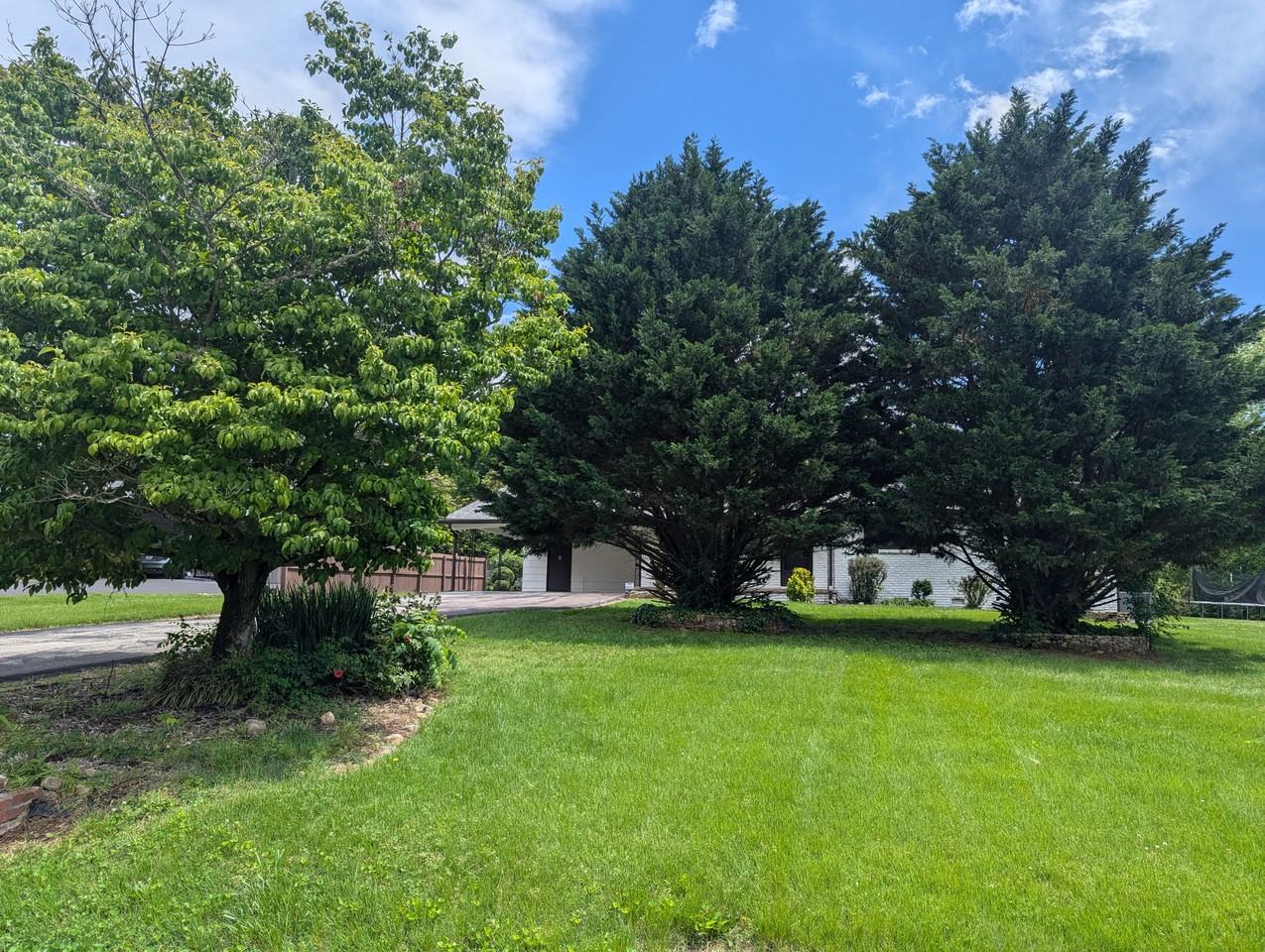 11124 Farr Dr #NA - Photo 3 of 32