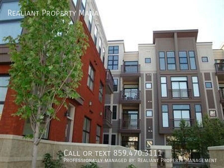 650 S Mill St #312 - Photo 4 of 18