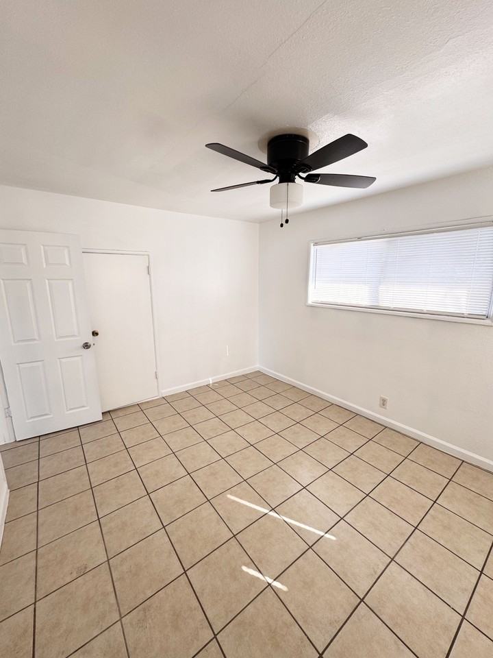 Flora - Fishburn - Photo 3 of 15