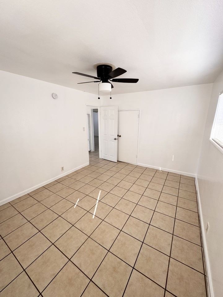 Flora - Fishburn - Photo 4 of 15