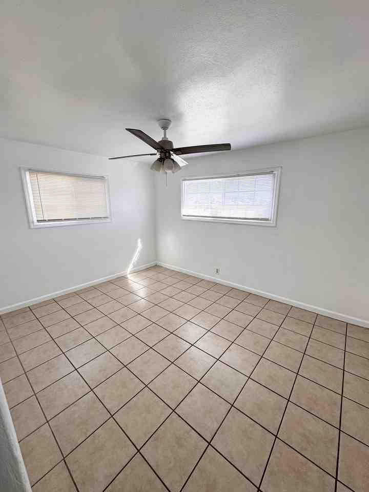 Flora - Fishburn - Photo 5 of 15