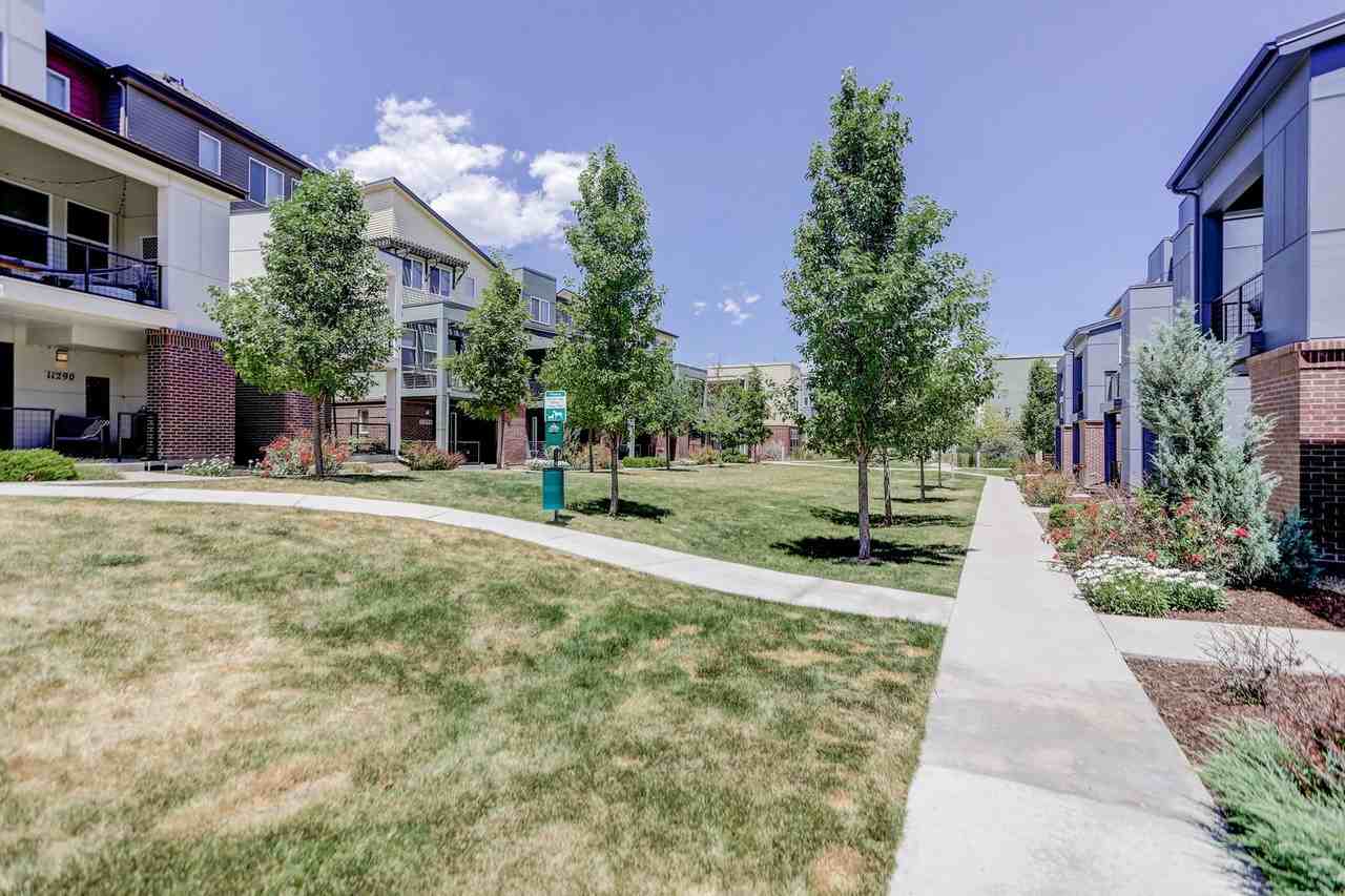 11217 Colony Cir - Photo 3 of 11