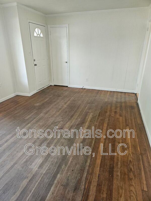 213 Dr Martin Luther King Jr St - Photo 3 of 13