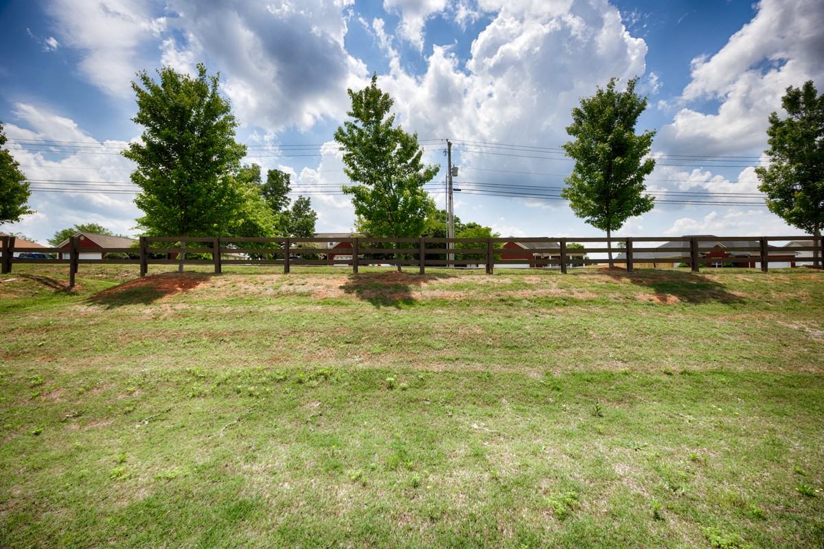 100 River Springs Ct - Photo 6 of 30