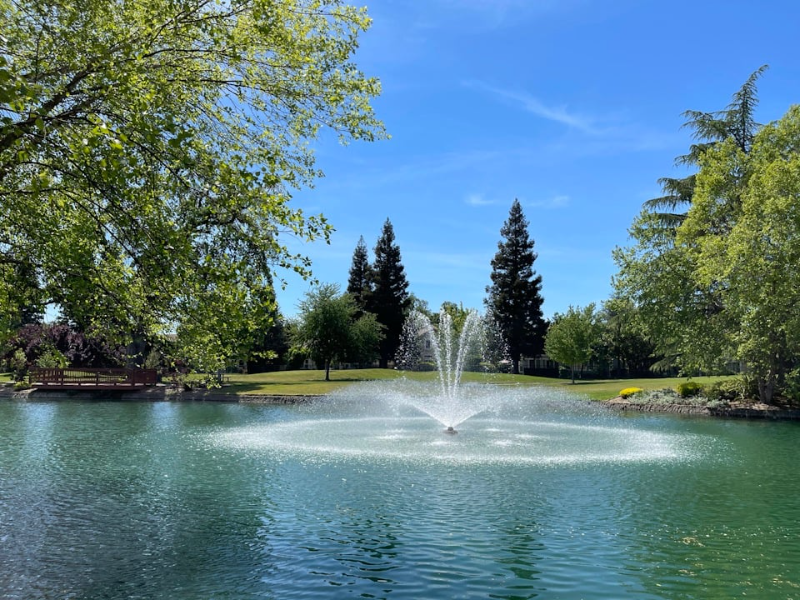 411 Fallen Leaf St - Photo 2 of 18