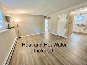62 Cisar Rd #1 - Photo 1 of 1