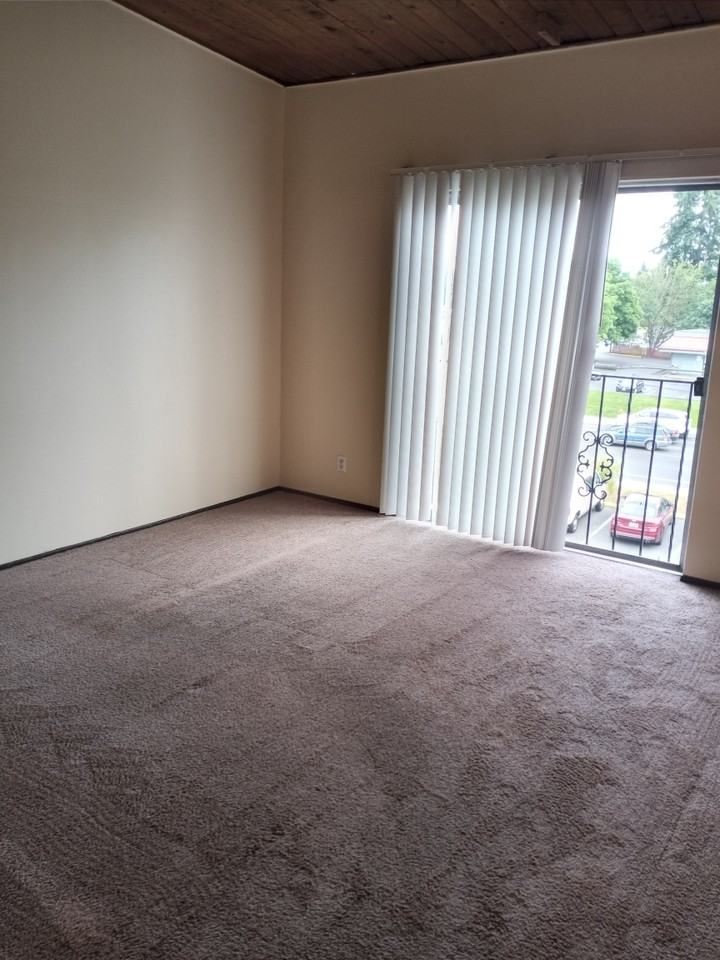 P201J - Photo 2 of 6