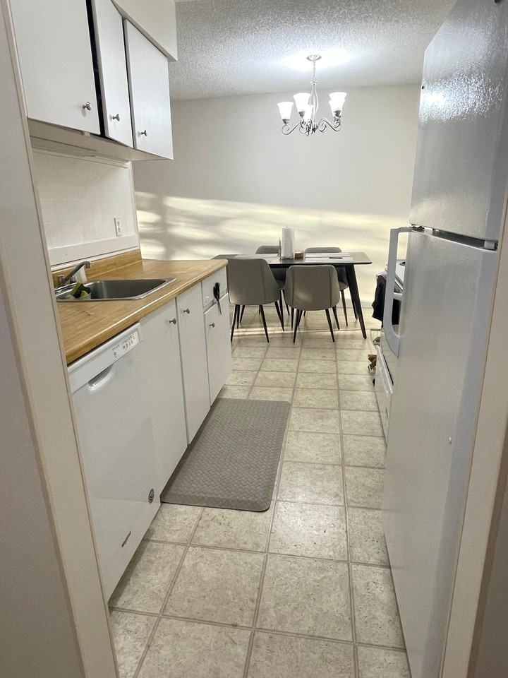 15236 100 Avenue #101 - Photo 6 of 30