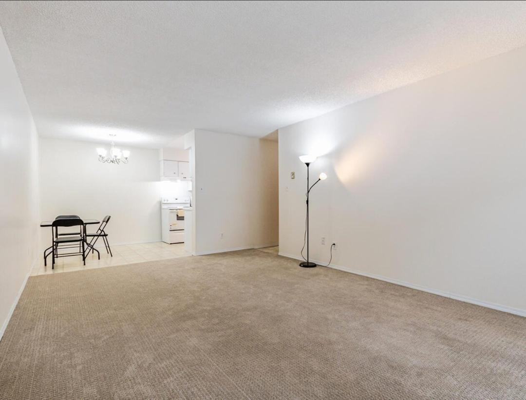 15238 100 Avenue #101