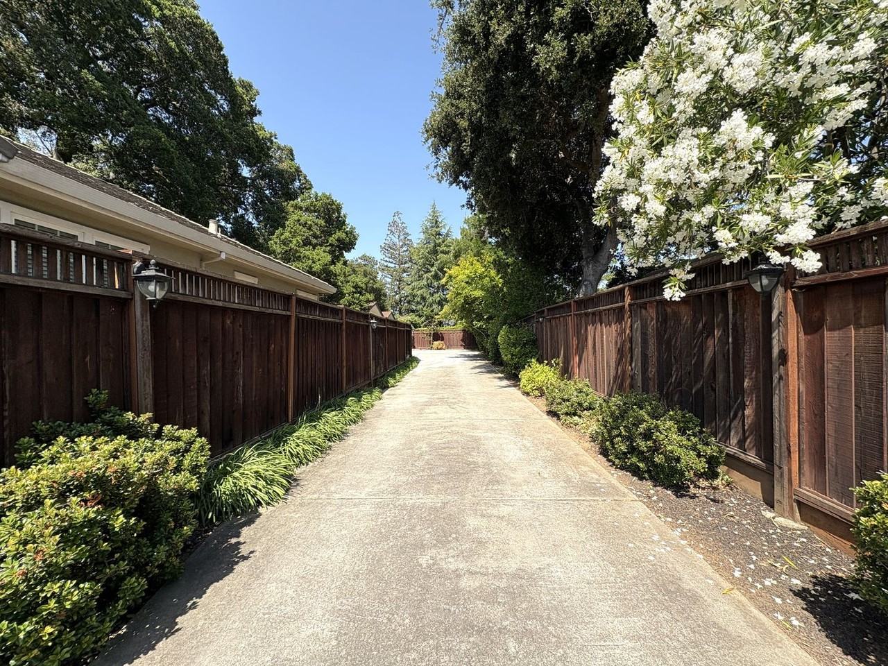 1250 Petersen Ct - Photo 3 of 45