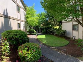 Spacious 2 - Photo 1 of 1
